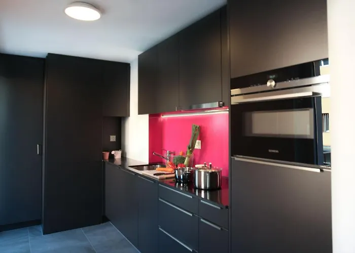 Nest - Elsastrasse 16 Ζυρίχη